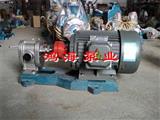 2CY不锈钢齿轮泵-不锈钢齿轮油泵-高压泵
