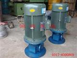 圆弧泵-圆弧齿轮泵-LYB立圆弧泵
