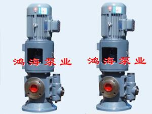三螺杆泵-立式三螺杆泵