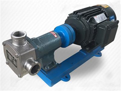 柔性转子泵-节能泵