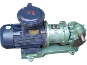 DPMK型号泵